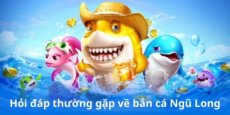 Hỏi đáp thường gặp về bắn cá Ngũ Long